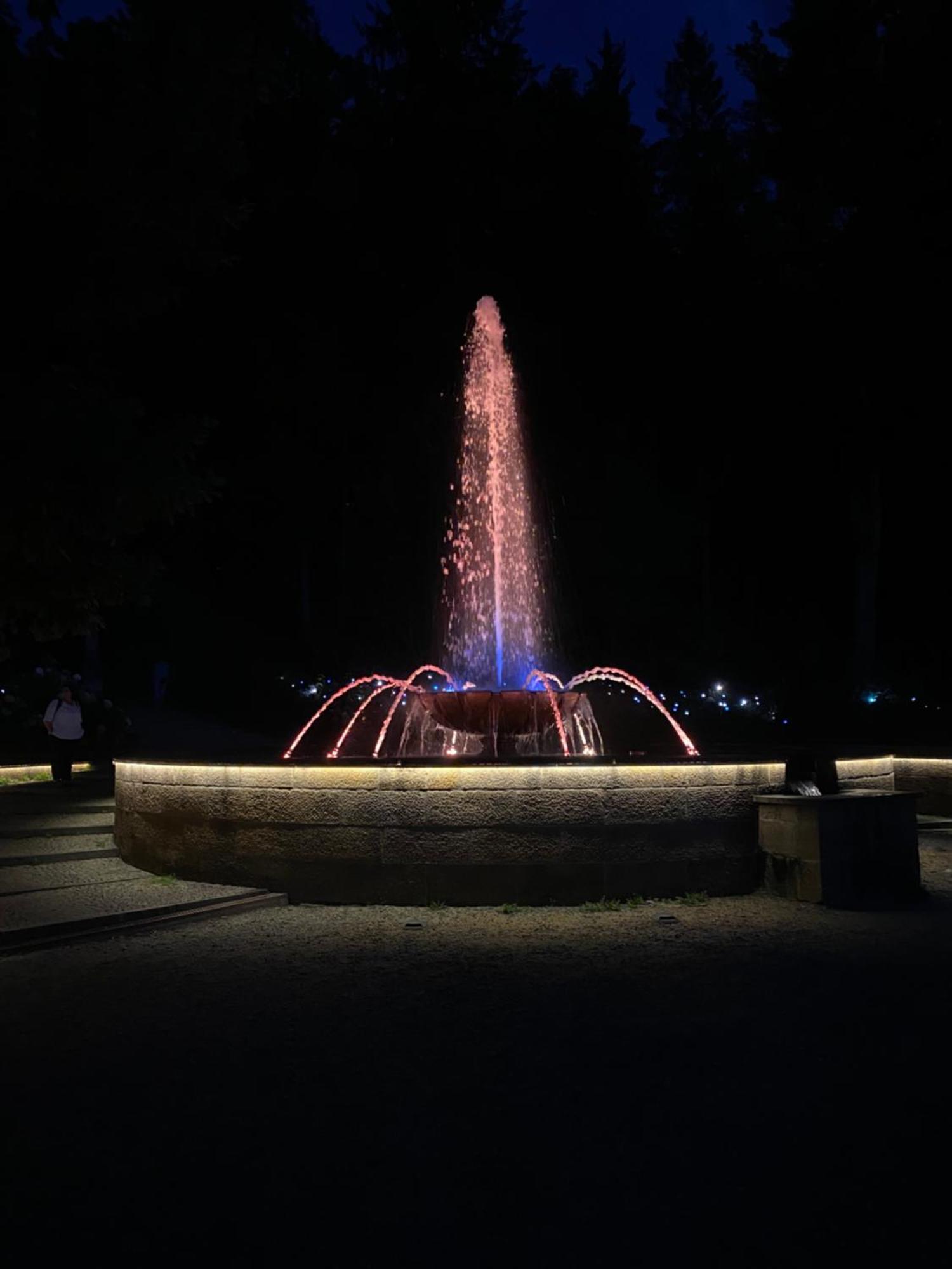 Fewo Roland Ranft Direkt Am Kurpark Barrierearm 60Qm Bad Elster Exterior foto